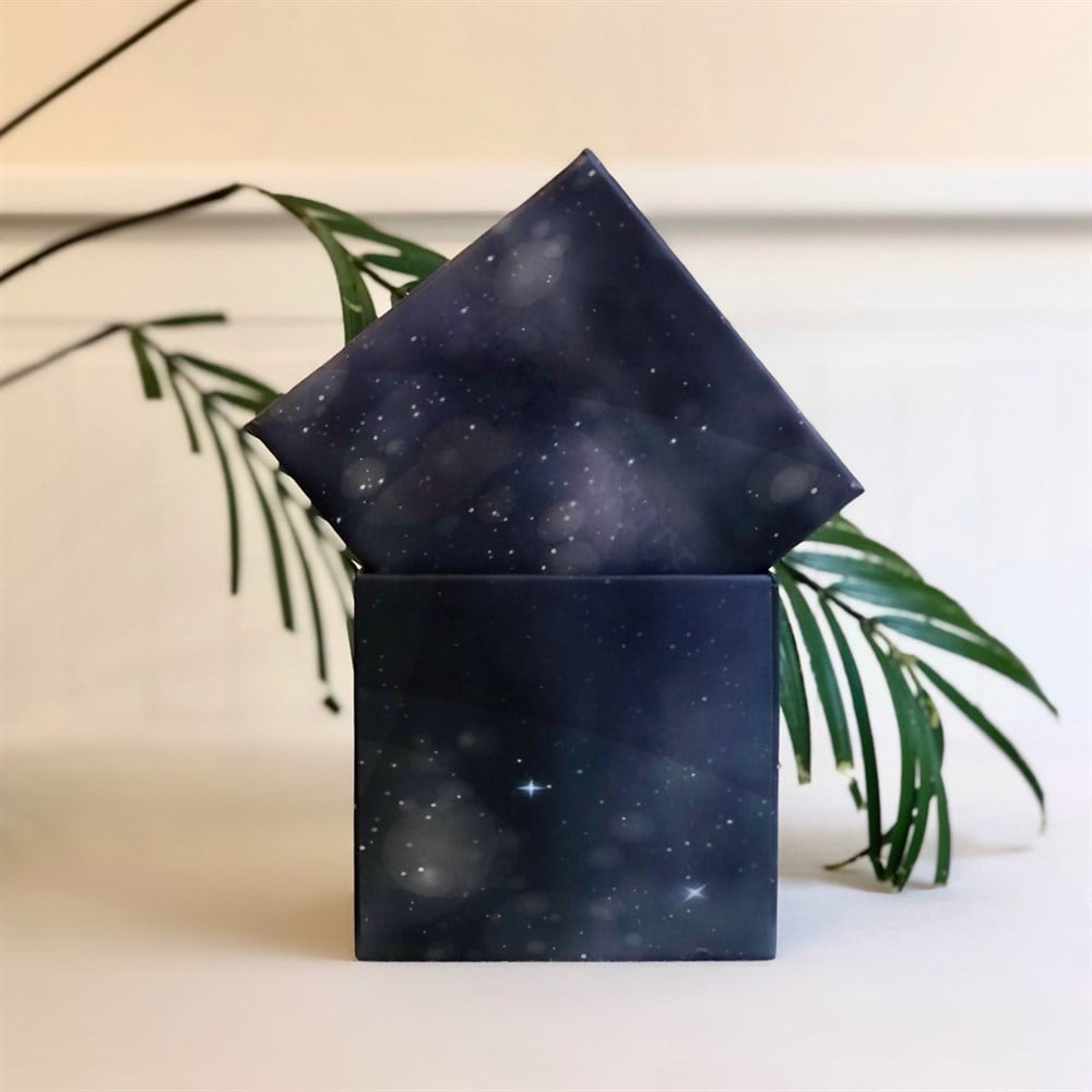 Lost İn Space Tasarımlı Tekli Kutu