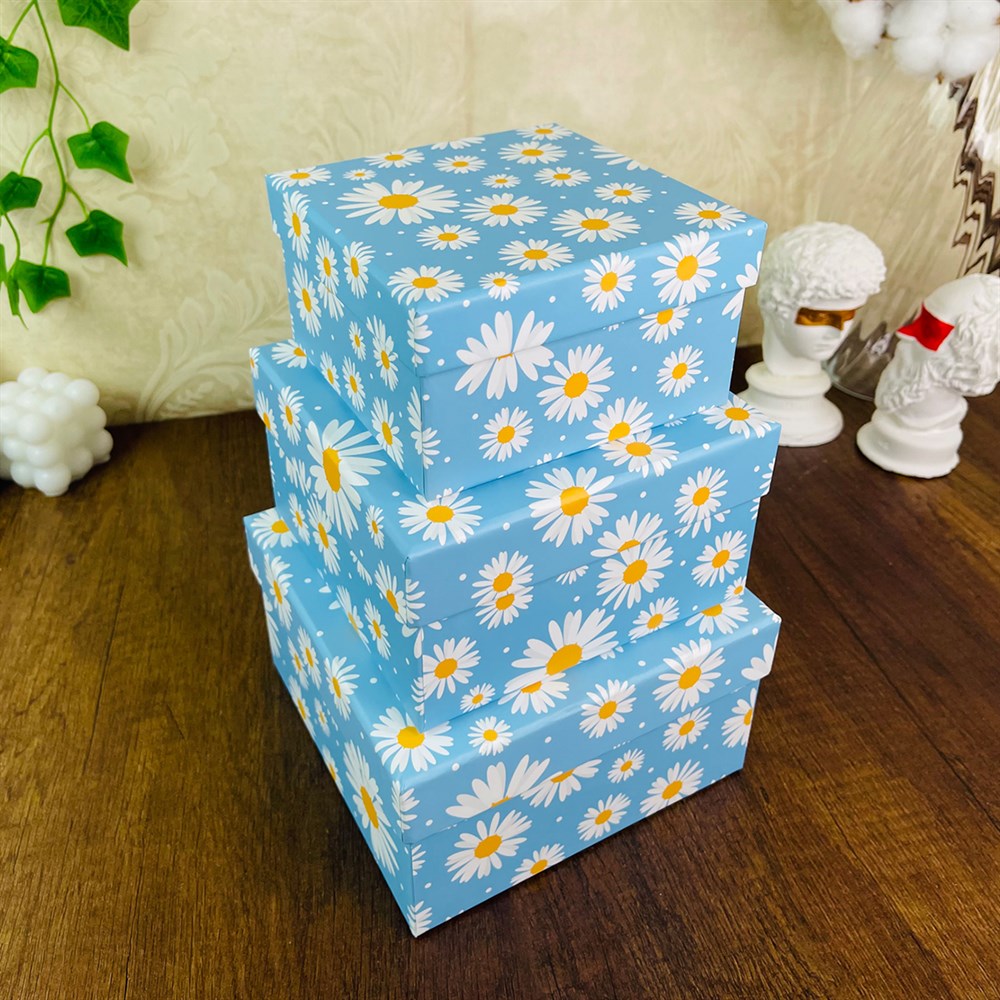 Mavi Papatya Tasarımlı 3'lü Kutu