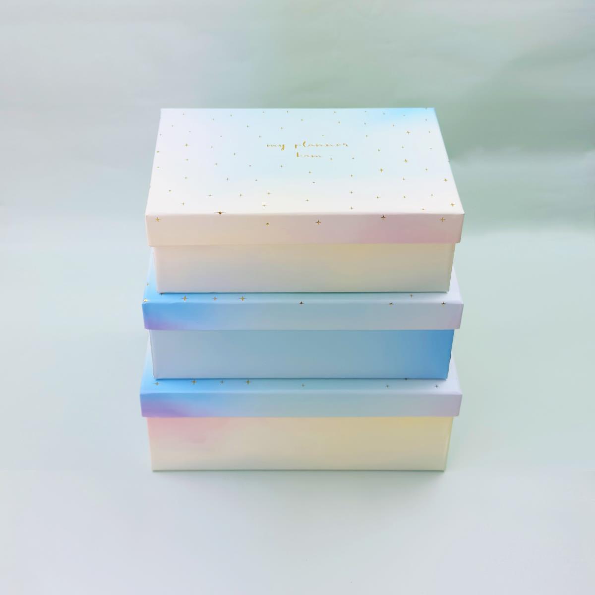 My Planner Dikdörtgen Kutu 3'lü