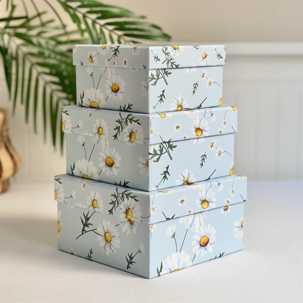 Papatya Tasarımlı 3'lü Kutu