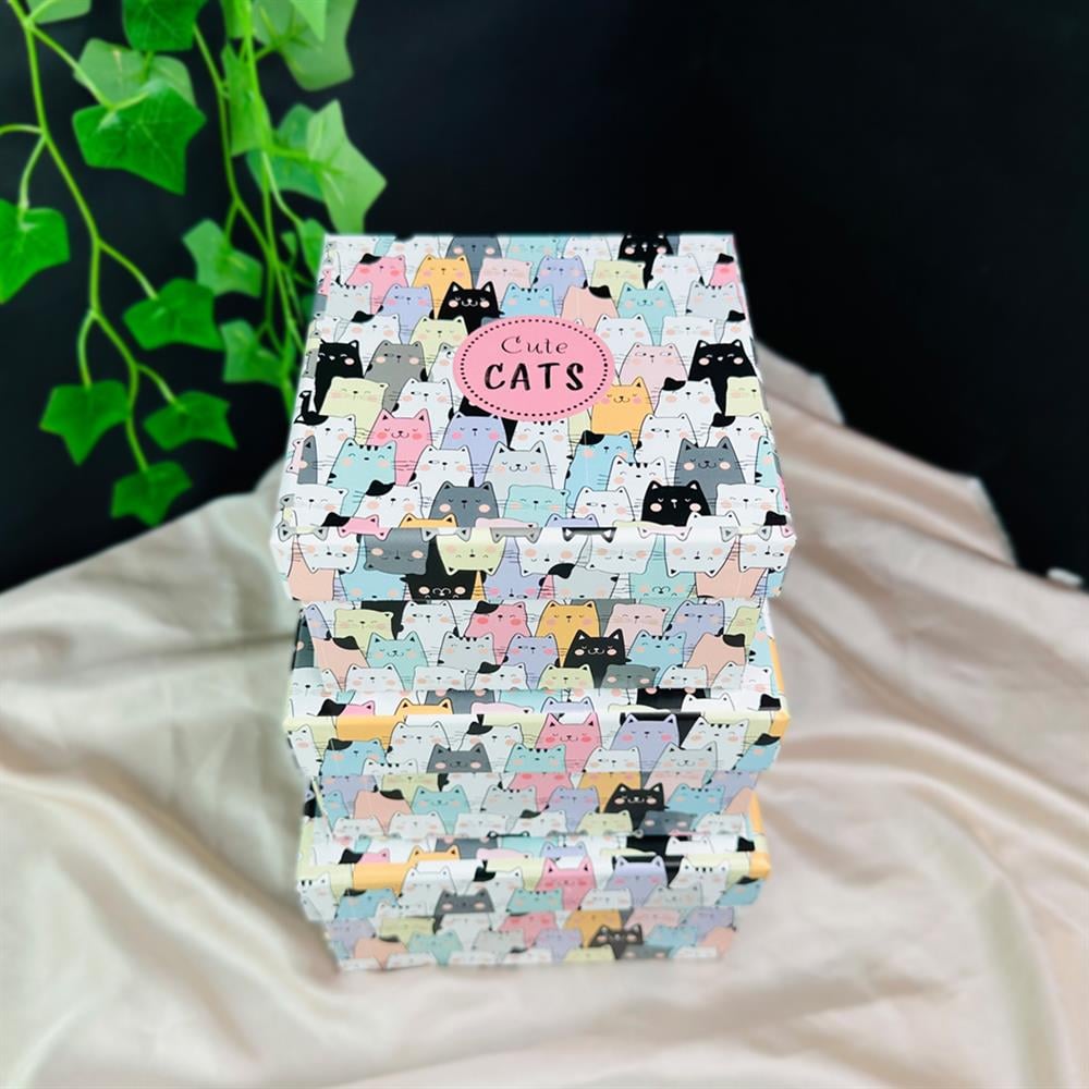 Sevimli Kedi Tasarımlı 3'lü Kutu