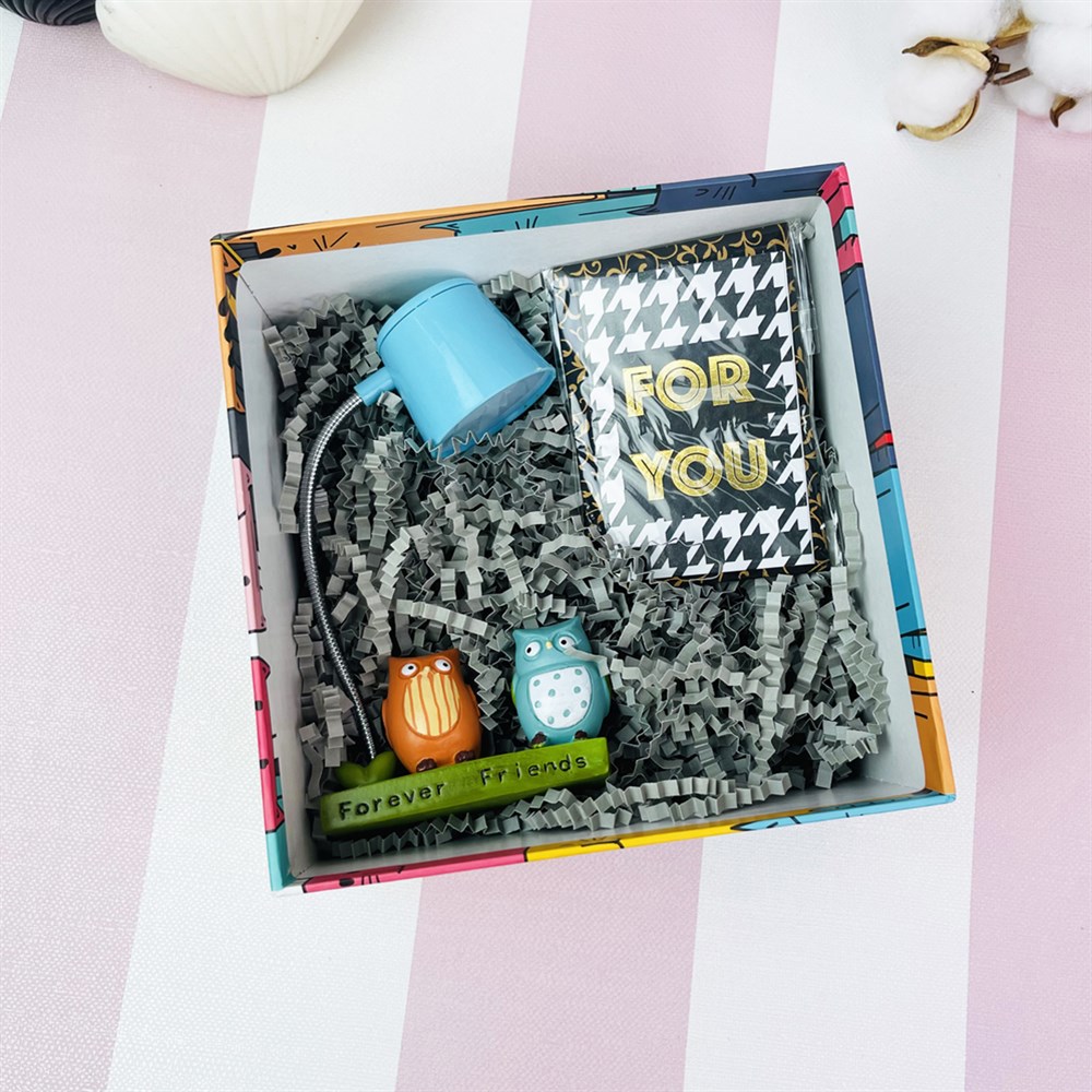 Sevimli Kedi Tasarımlı Mini Hediye Seti