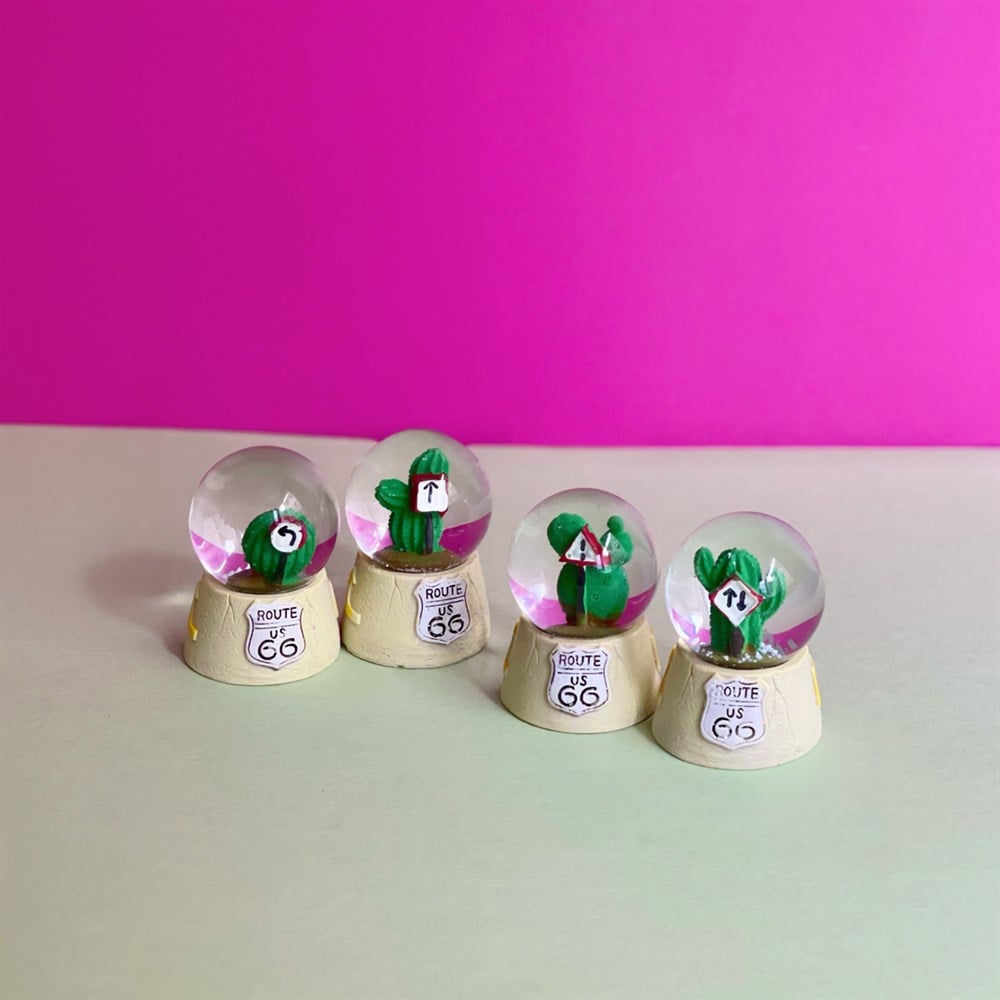 Yönlendirici Kaktüs Mini Kar Küresi