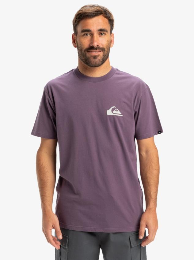 Quiksilver Eqyzt08042 Ev Mini Logo Ss Mor Erkek T-Shirt