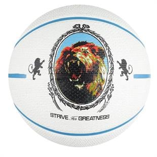 Nike Playground 2.0 8P L James Deflated Unisex Çok Renkli Basketbol Topu N.100.4372.086.07