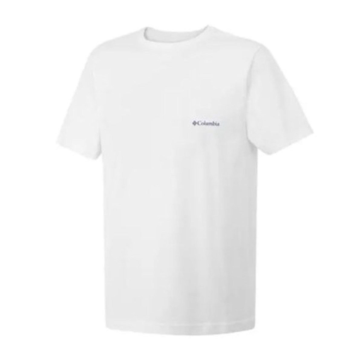 Columbia Csc M Basic Sm Logo Brushed Ss Tee Erkek Kısa Kollu Tişört CS0282-100