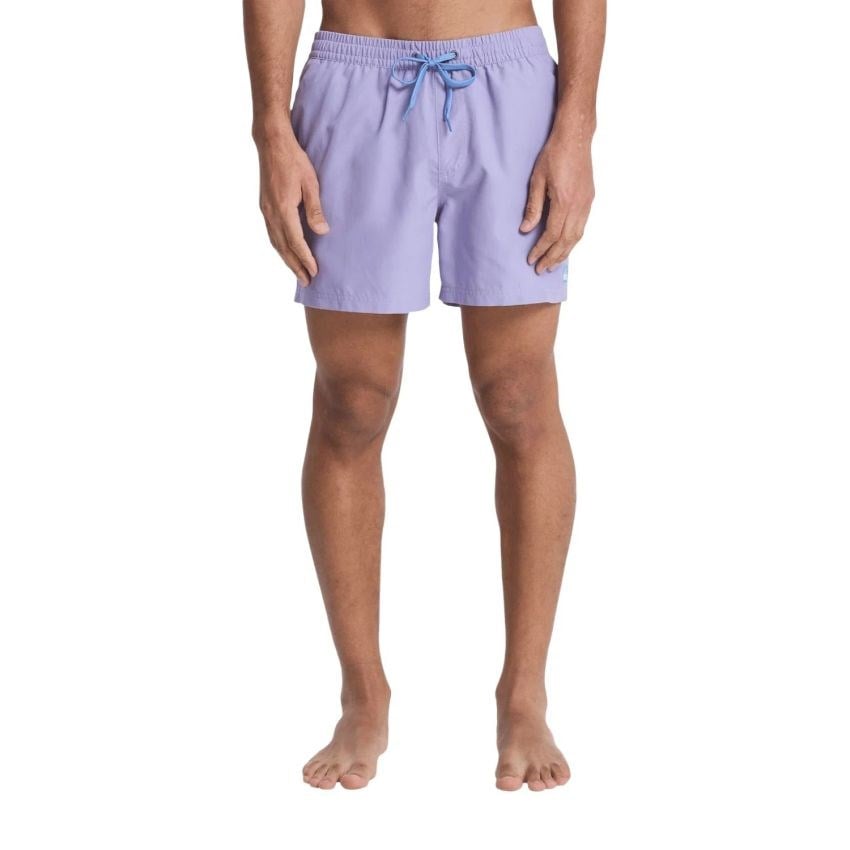 Quiksilver Everyday 15 Erkek Volley Lila Erkek Deniz Şortu EQYJV04120