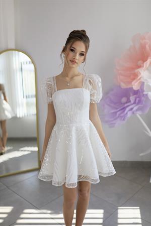 Valeriya Mini Dantel After Parti Tasarım Elbise