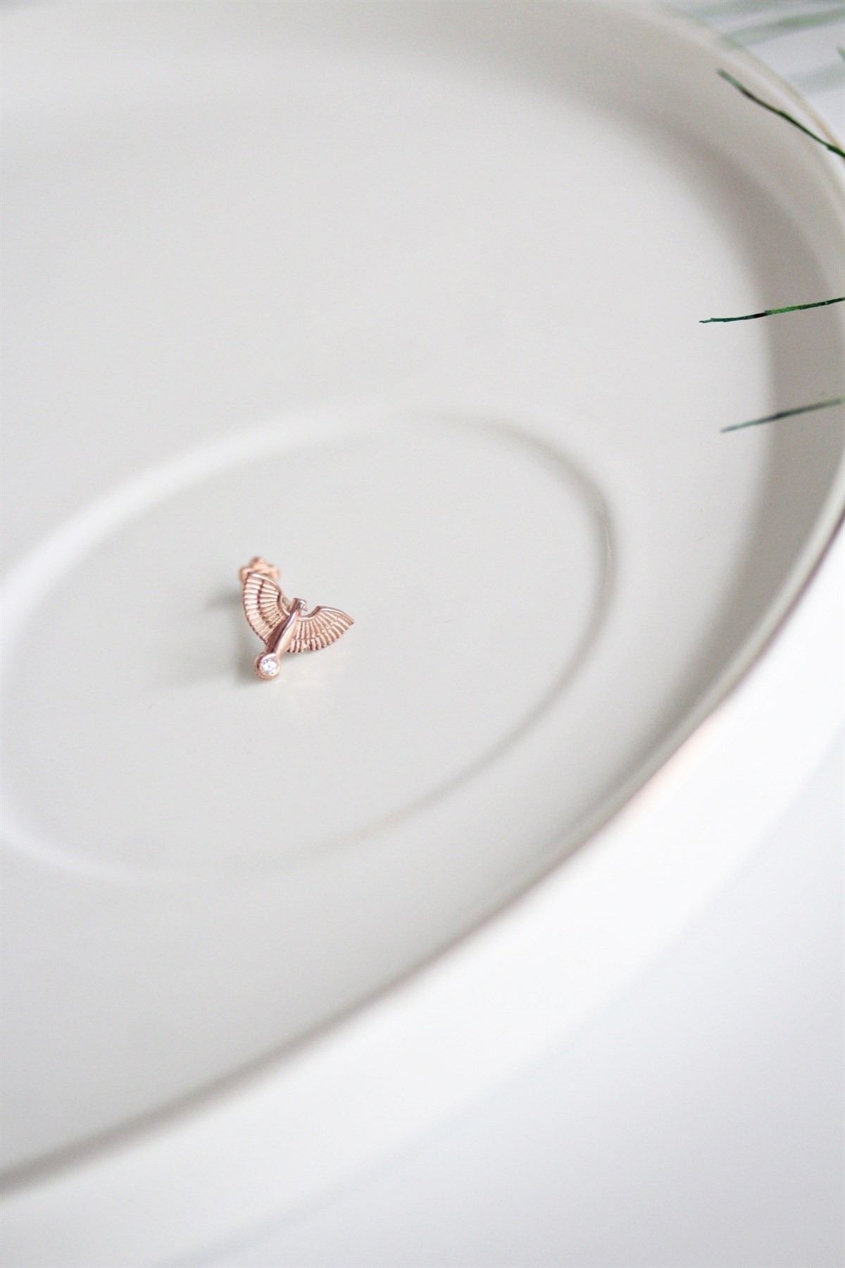 Tragus Piercing