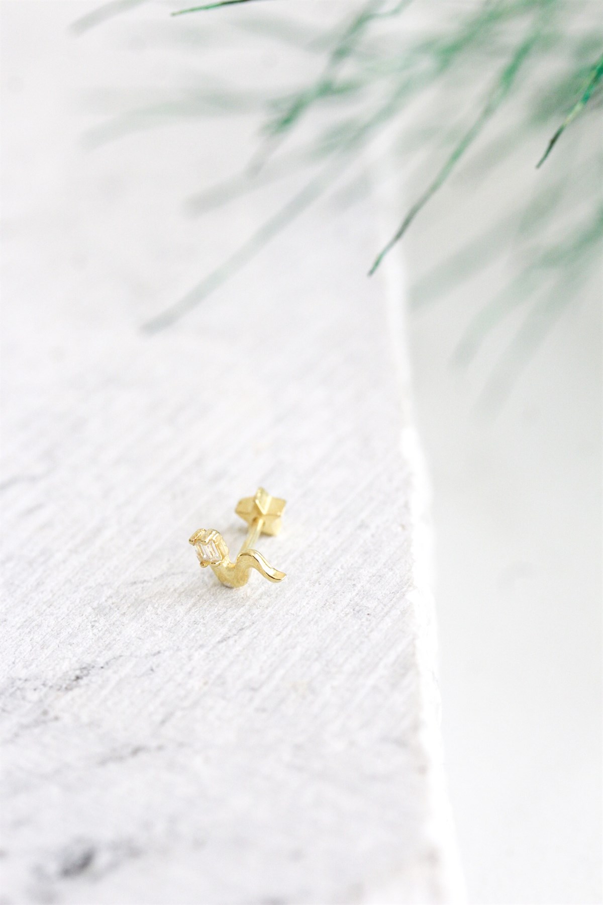 Tragus Piercing