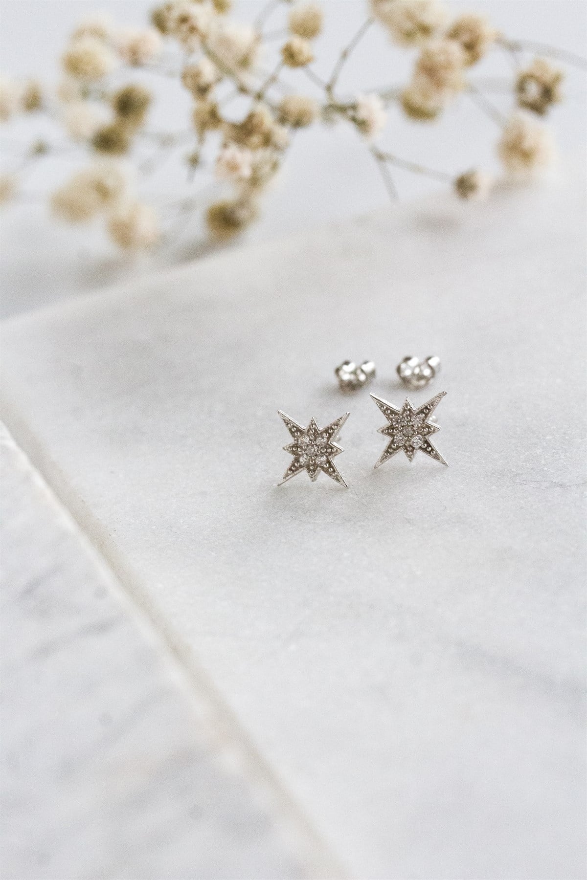 Kutup Yıldızı Küpe