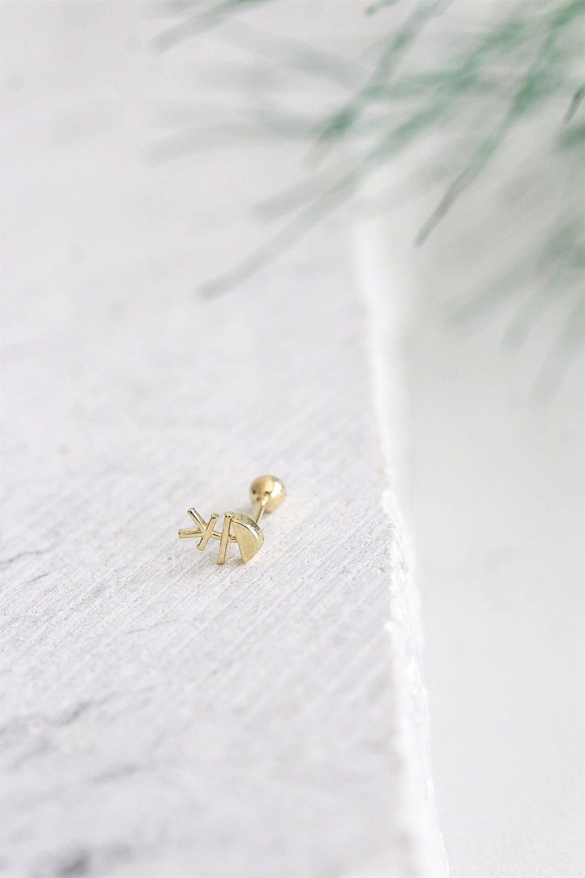 Tragus Piercing