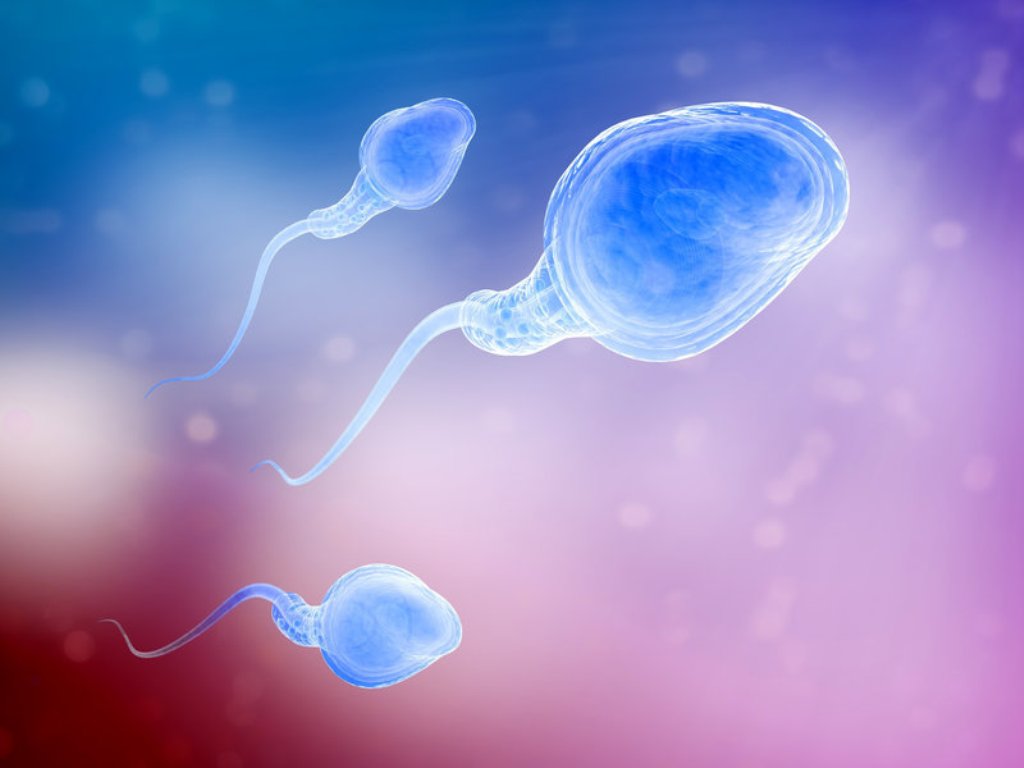 Spermin Yumurtaya Girmesi Nasıl Hissedilir?