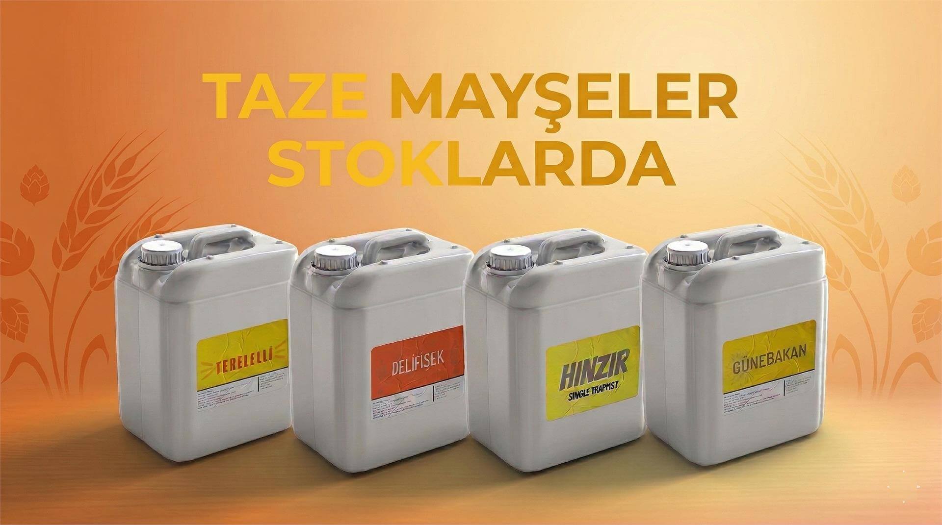 Taze Mayşeler