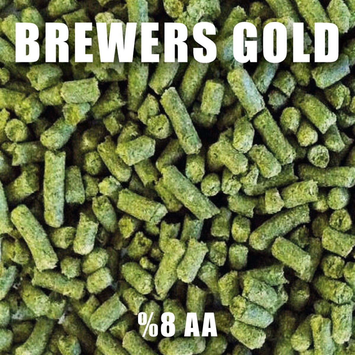 100 gr Brewers Gold