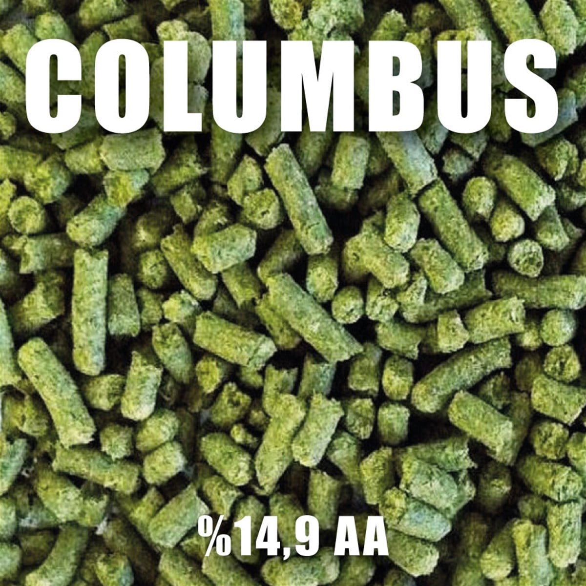 100 gr Columbus Şerbetçiotu
