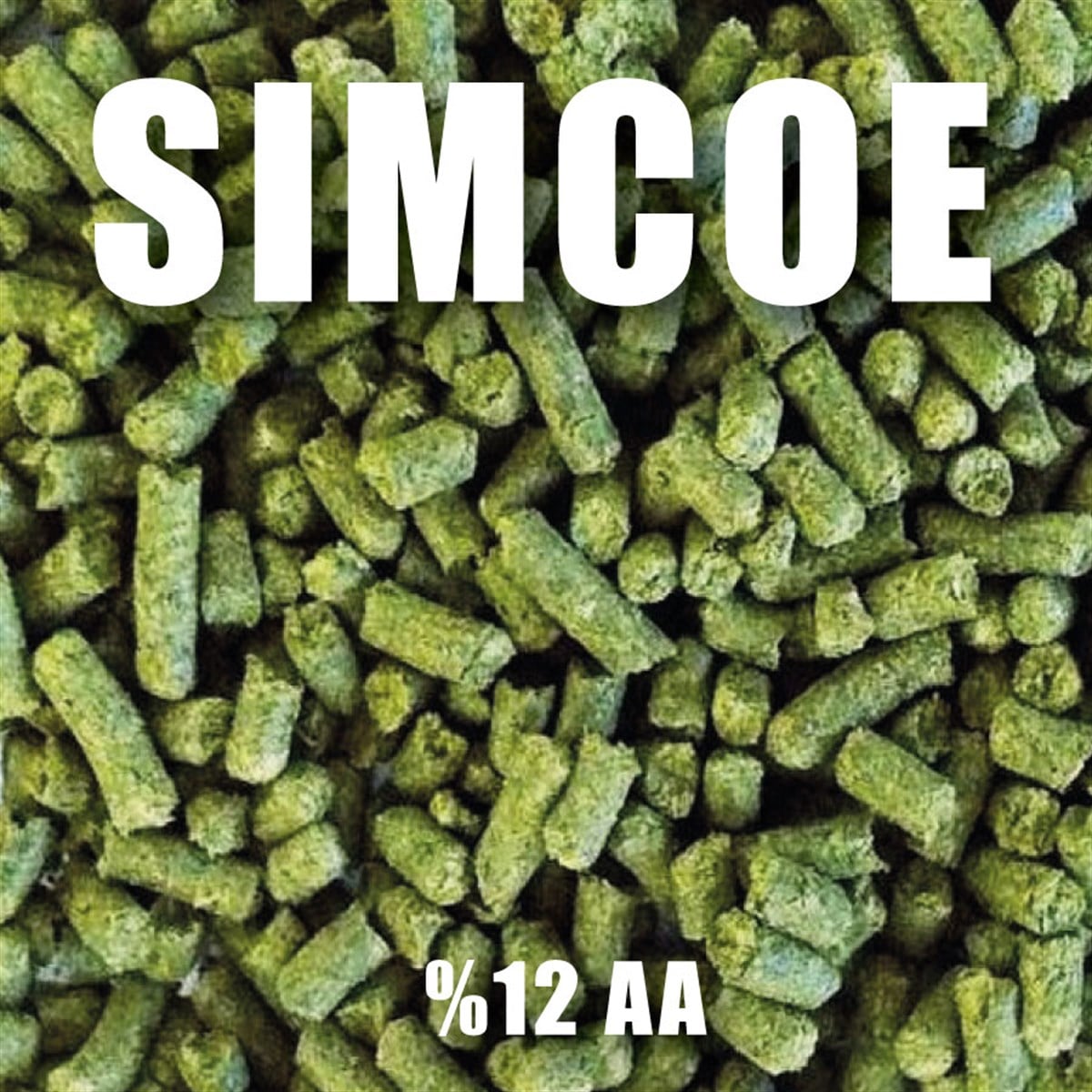 100 gr Simcoe Şerbetçiotu