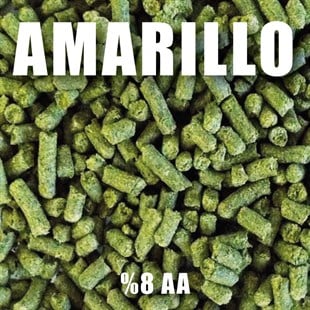 100 gr Amarillo Şerbetçiotu