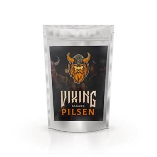 VIKING ASGARD PILSEN