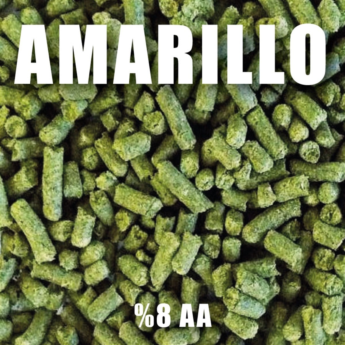 100 gr Amarillo Şerbetçiotu