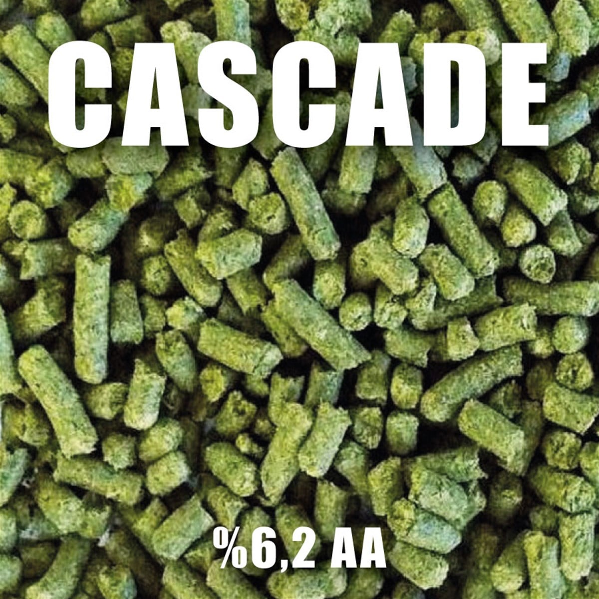100 gr Cascade Şerbetçiotu