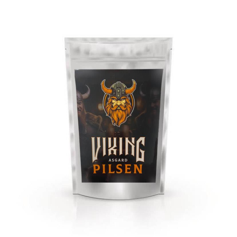 VIKING ASGARD PILSEN