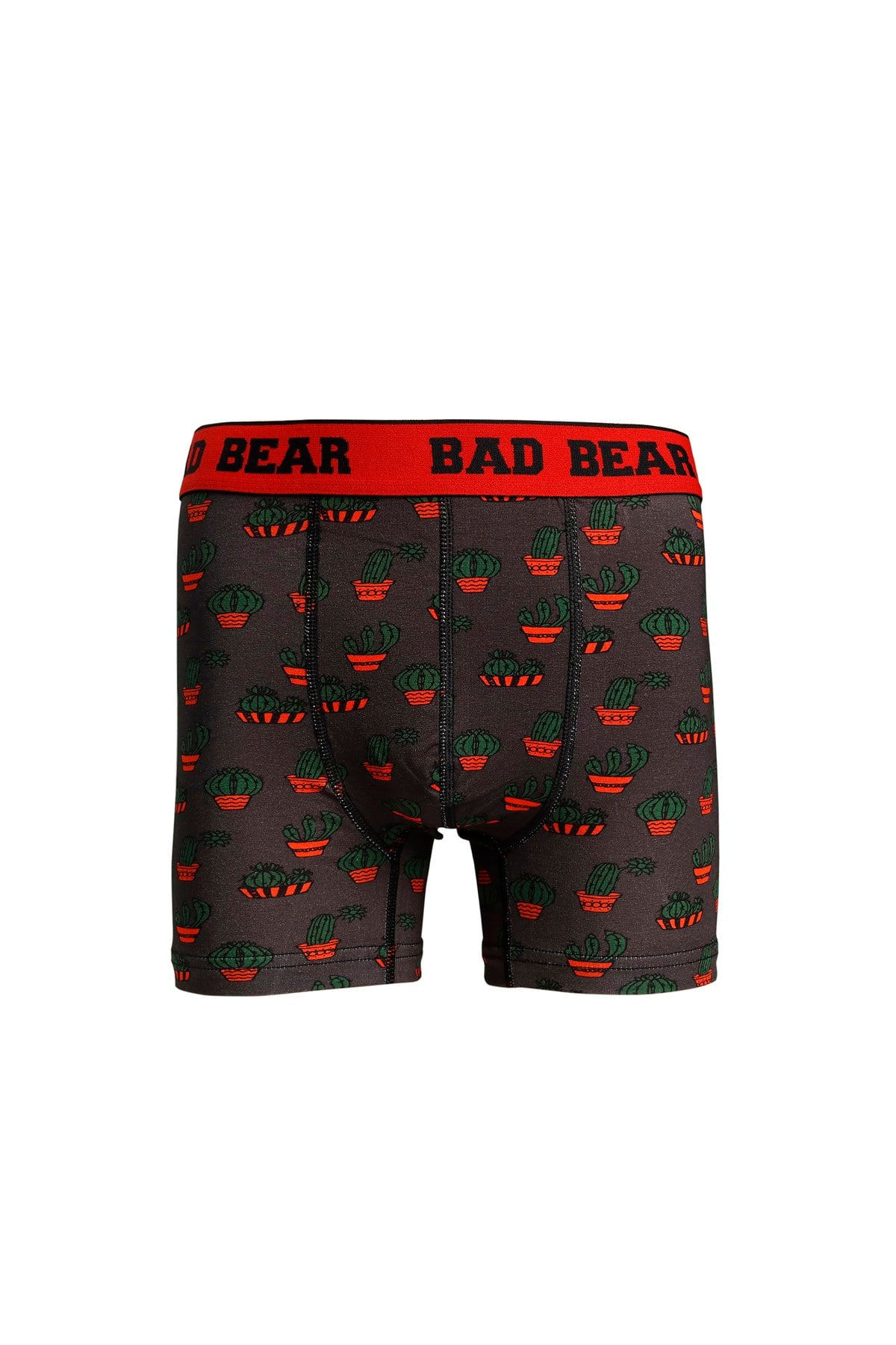 Bad Bear Erkek Antrasit Boxer Cactus Boxer