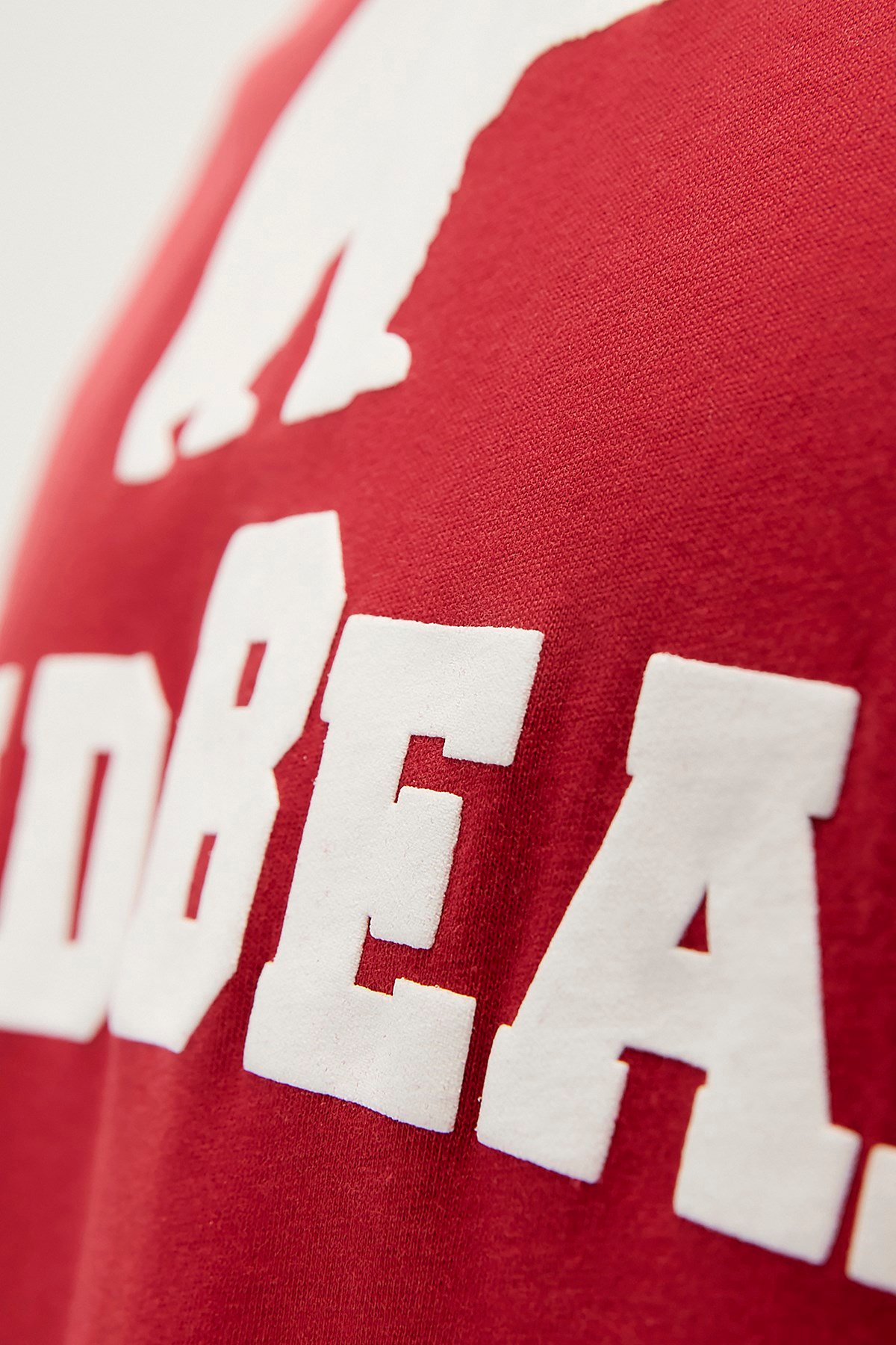 Bear Tee T-Shirt Lava Kırmızı Logo Baskılı Erkek Tişört 