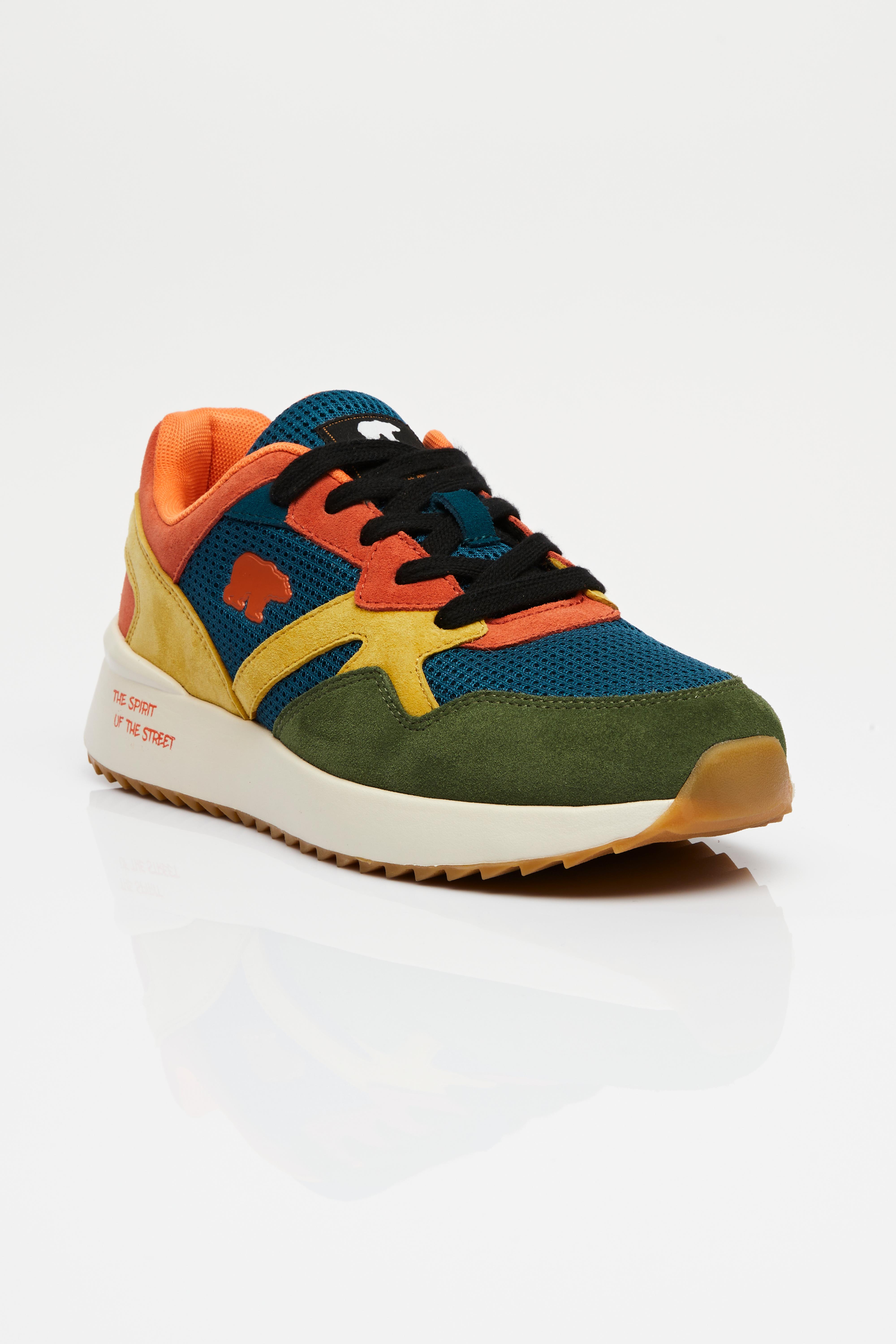 Cosy Bear Multicolor Mens Shoes