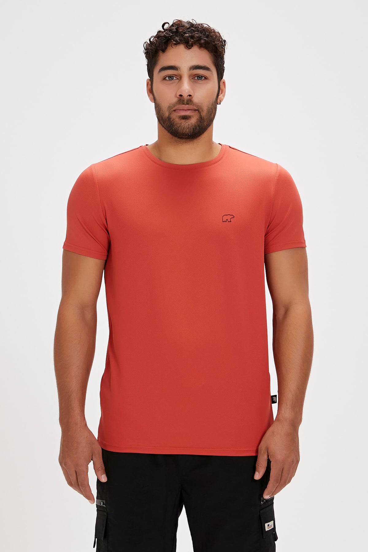 Frank Ginger Basic Mens T-Shirt