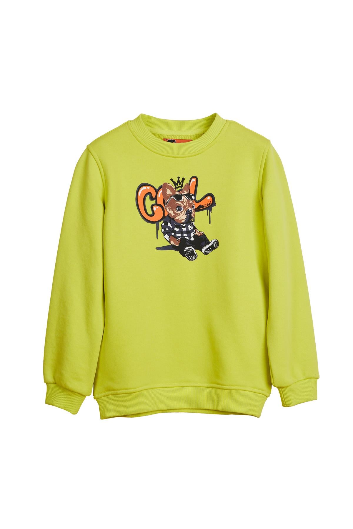 Javed Yeşil Çocuk Baskılı Sweatshirt