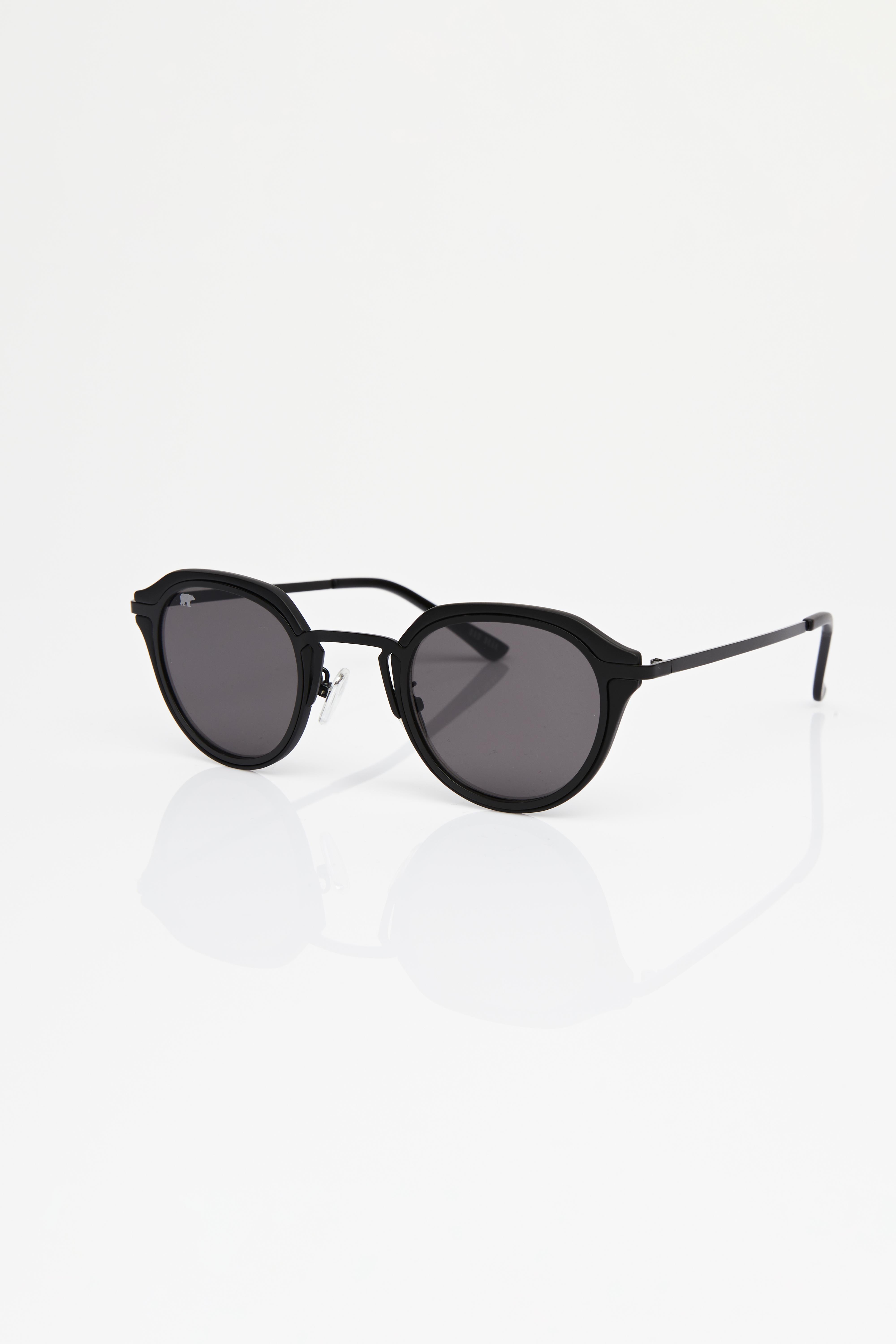 Richard Unisex Black Sunglasses