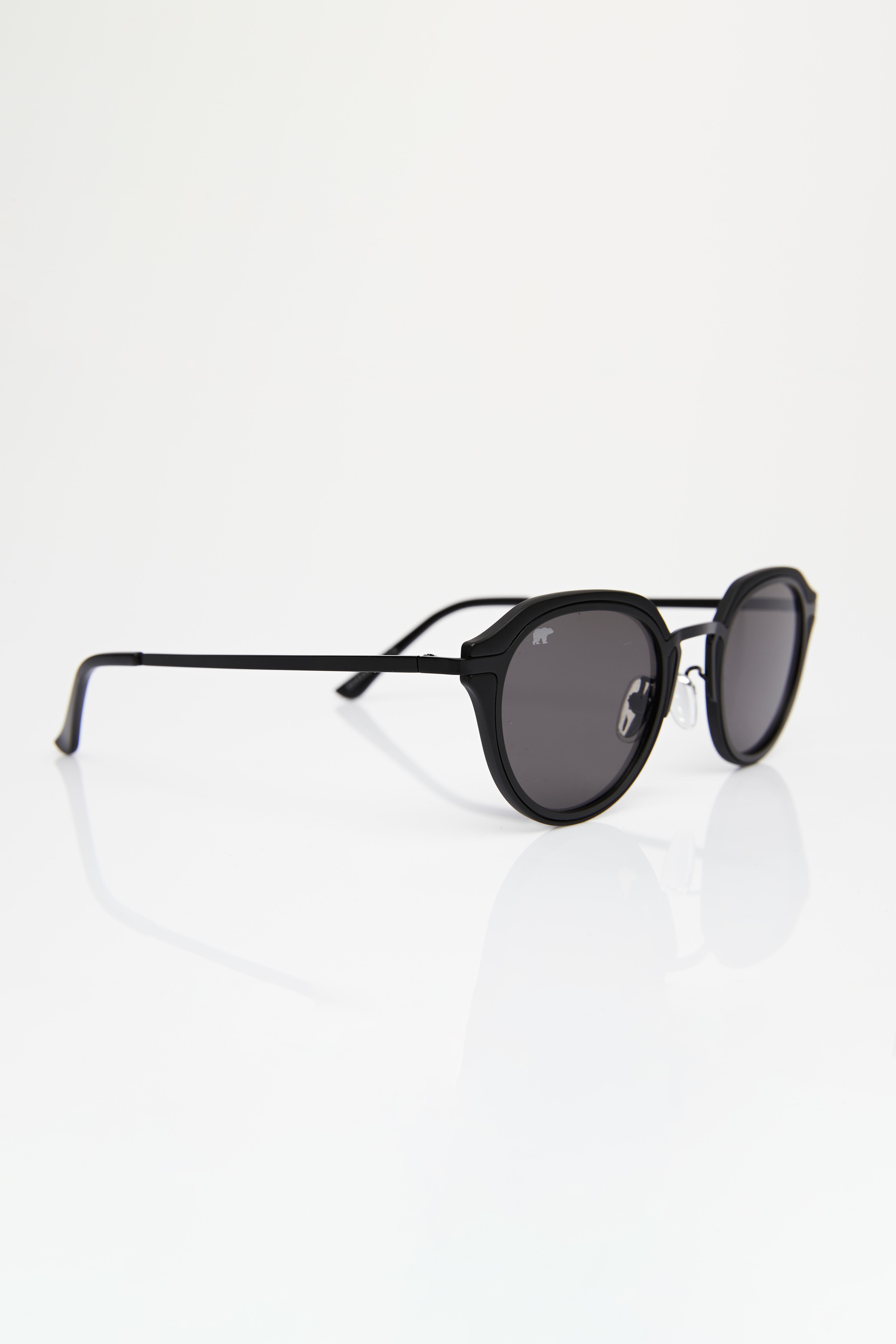 Richard Unisex Black Sunglasses