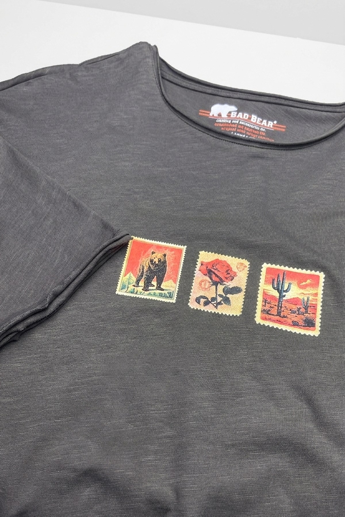 Rose Asfalt Erkek Baskılı Tişört