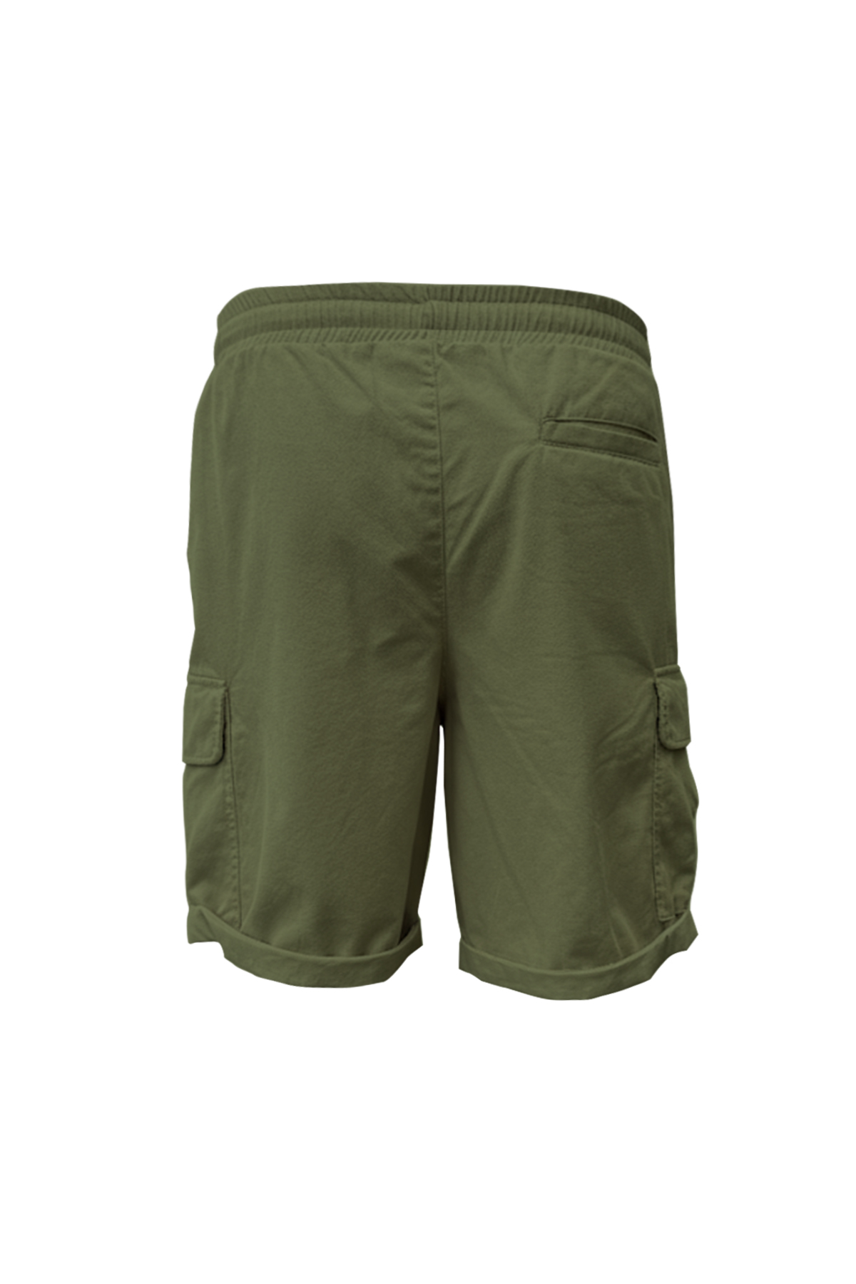 Lesse Soluk Yeşil Erkek Kargo Şort