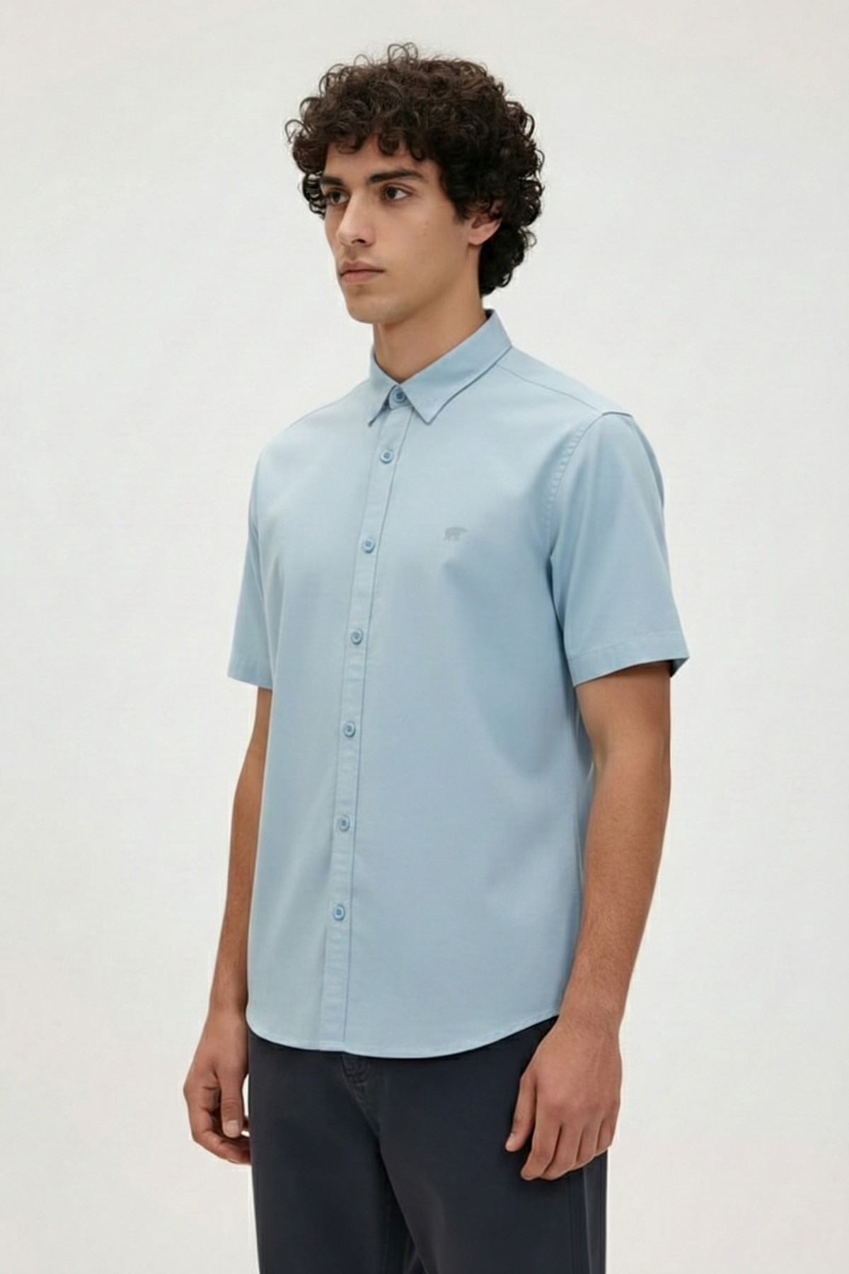 PLANT BASIC SHIRT BASIC SHIRT  DÜĞMELİ MAN SHIRT PLANT BASIC SHIRTPLANT BASIC SHIRT