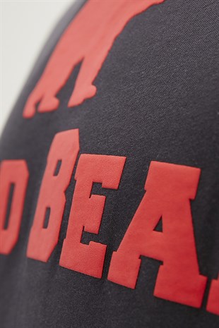 Bear Tee T-Shirt Antrasit Logo Baskılı Erkek Tişört 