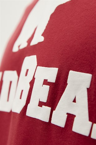 Bear Tee T-Shirt Lava Kırmızı Logo Baskılı Erkek Tişört 