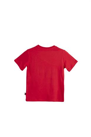 Bear Tee Kids Crimson Red Kırmızı T-Shirt Çocuk Tişört