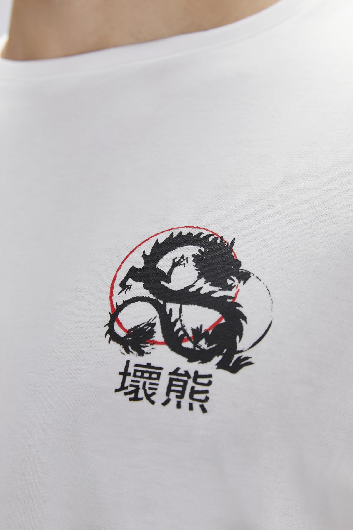 Draco Off-White Mens Printed T-Shirt