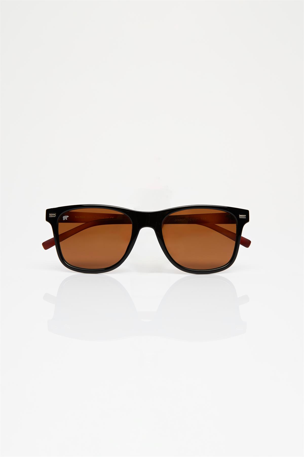 JOSEPH GLASSES GLASSES BROWN  UNISEX GLASSES JOSEPH GLASSESJOSEPH GLASSES
