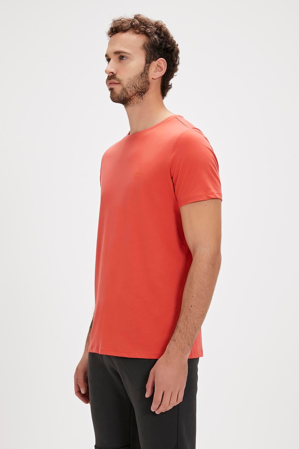 Solid Tarçın Basic Erkek Tişört