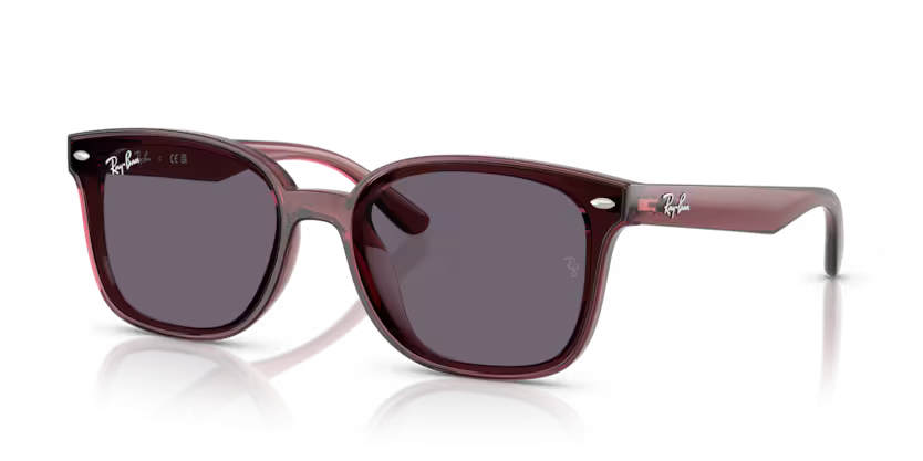 RAY-BANRAYBAN RB 4461D 659373 64 GRAY-BAN RB 4461D 659373 64 Unisex Güneş GözlüğüRAY-BAN RB 4461D 659373 64 Unisex Güneş Gözlüğü