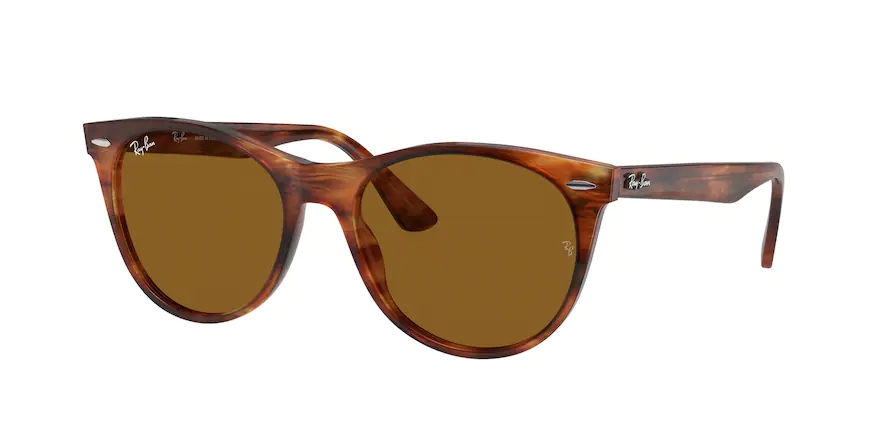 RAY-BANRAYBAN RB 2185 954/33 52 GRAY-BAN RB 2185 954/33 52 Unisex Güneş GözlüğüRAY-BAN RB 2185 954/33 52 Unisex Güneş Gözlüğü