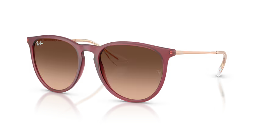 RAY-BANRAYBAN RB 4171 6815A5 54 GRAY-BAN RB 4171 6815A5 54 Unisex Güneş GözlüğüRAY-BAN RB 4171 6815A5 54 Unisex Güneş Gözlüğü
