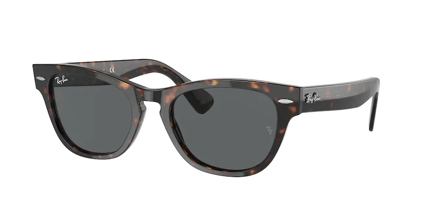 RAY-BANRAYBAN RB2201 902/B1 54 GRAY-BAN RB2201 902/B1 54 Unisex Güneş GözlüğüRAY-BAN RB2201 902/B1 54 Unisex Güneş Gözlüğü
