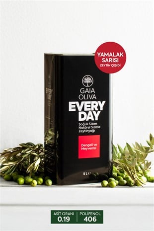Everyday Yamalak Sarısı 5 lt Natürel Sızma Zeytinyağı