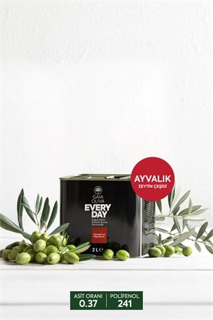 Everyday Ayvalık 2 lt Natürel Sızma Zeytinyağı