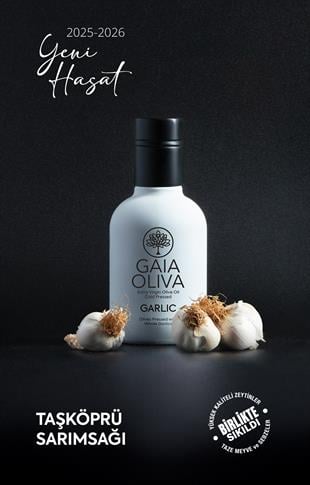 Sarımsak Çeşnili 250 ml Natürel Sızma Zeytinyağı (Yeni Hasat)