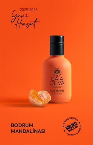 Mandalina Çeşnili 250 ml Natürel Sızma Zeytinyağı (Yeni Hasat)